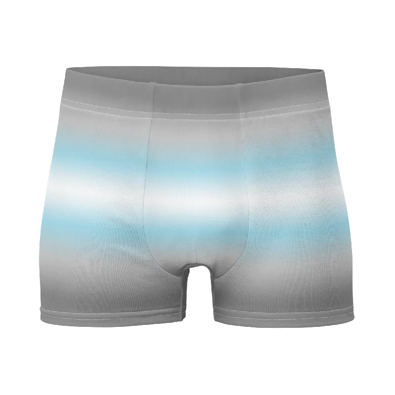 Demiboy Pride Mens Boxer Briefs Underwear