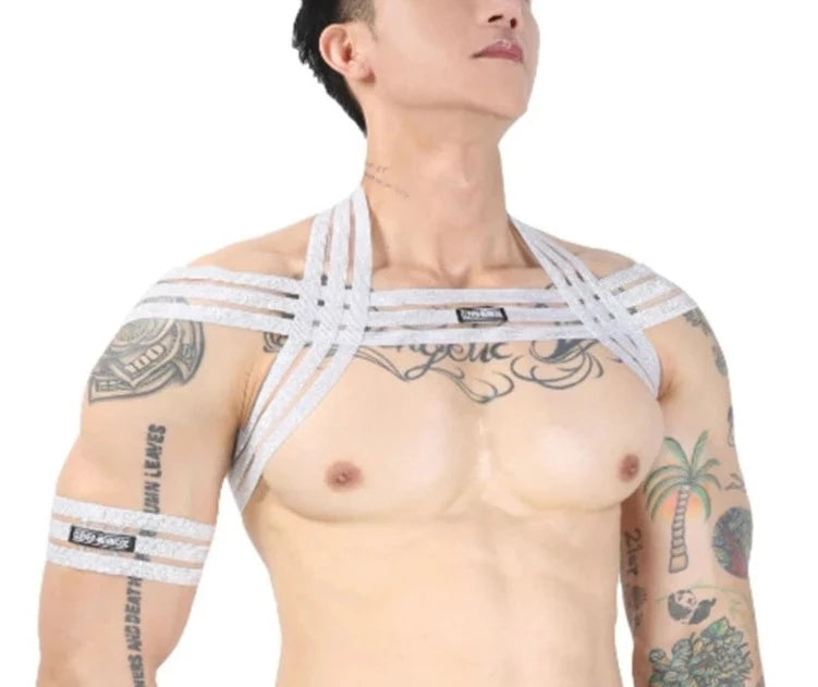 Silver Harness