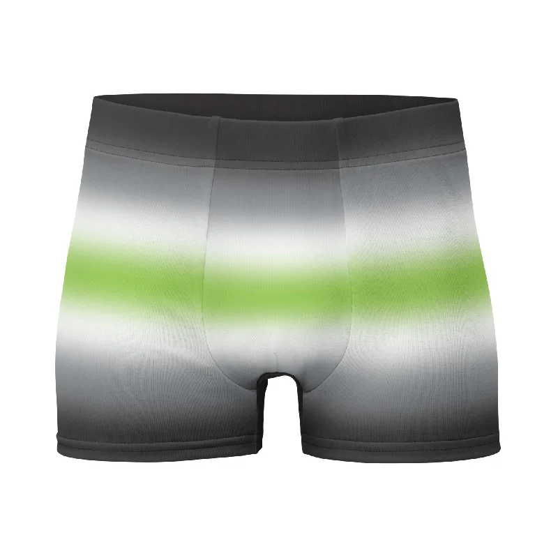 Agender Pride Mens Boxer Briefs Underwear