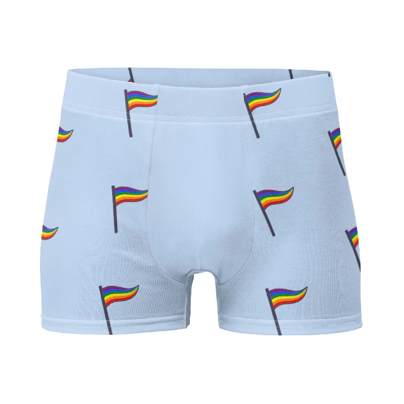 LGBTQ Pride Mens Boxer Briefs Underwear - Flags