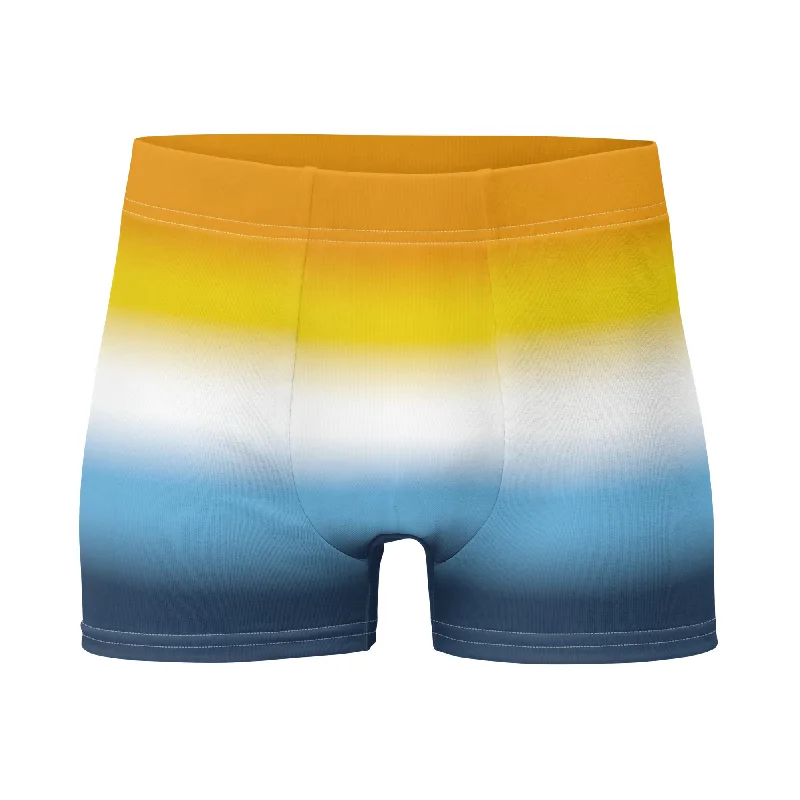 Aroace Pride Mens Boxer Briefs Underwear