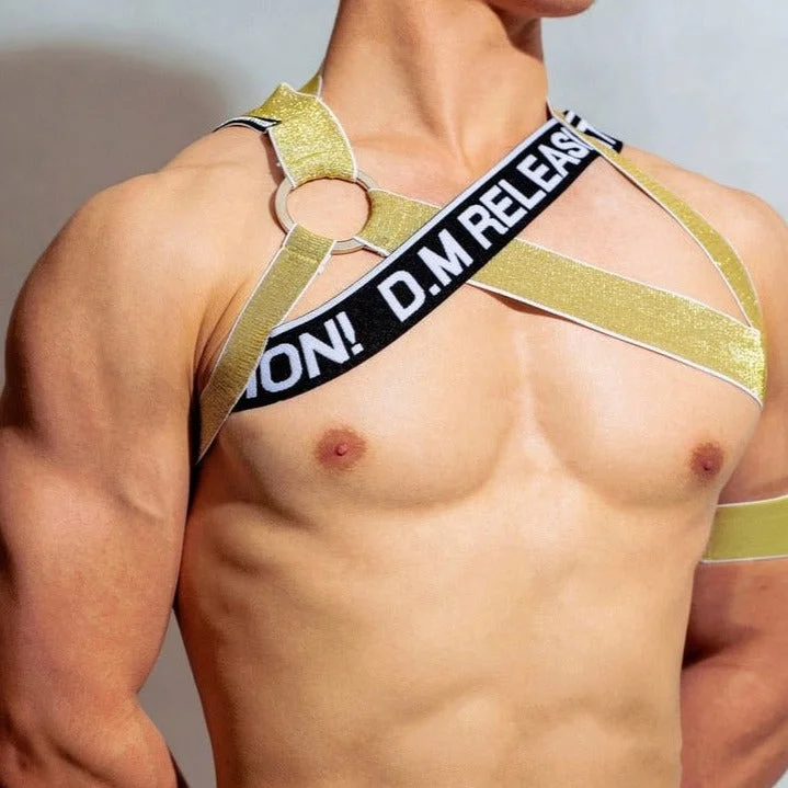 DM Men's Release Shimmer Chest Harness