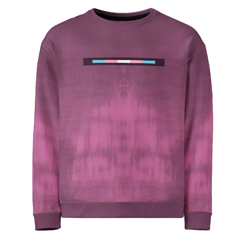 Hoodies with subtle rainbow accents for daily wear--Trans Pride Sweatshirt