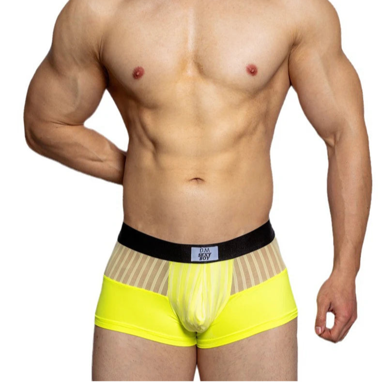 Men’s Designer Striped Sheer Mesh Boxer Brief
