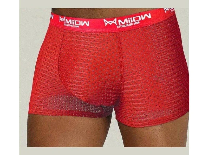 MiiOW Seamless and Breathable Mesh Gay Boxer Briefs