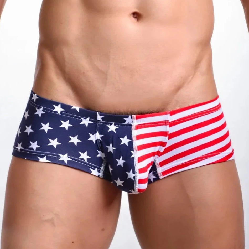 Gay Men's American Flag Patriotic Briefs