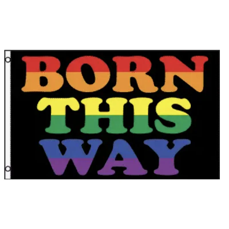 LGBTQ Pride Flag 3x5 - Born This Way