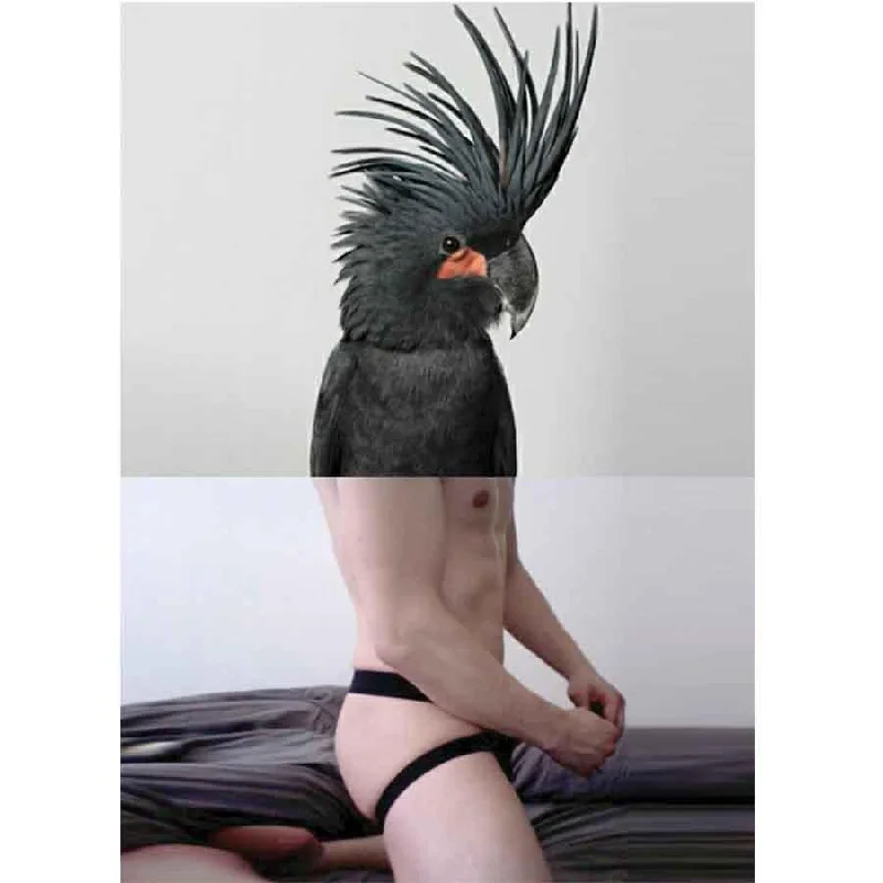 Naro Pinosa Parrot in Jockstrap Postcard