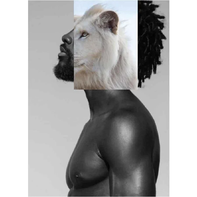 Naro Pinosa Albino Lion Black Man Postcard