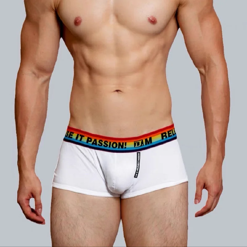 DM Men’s Pride Release It Passion Rainbow Brief