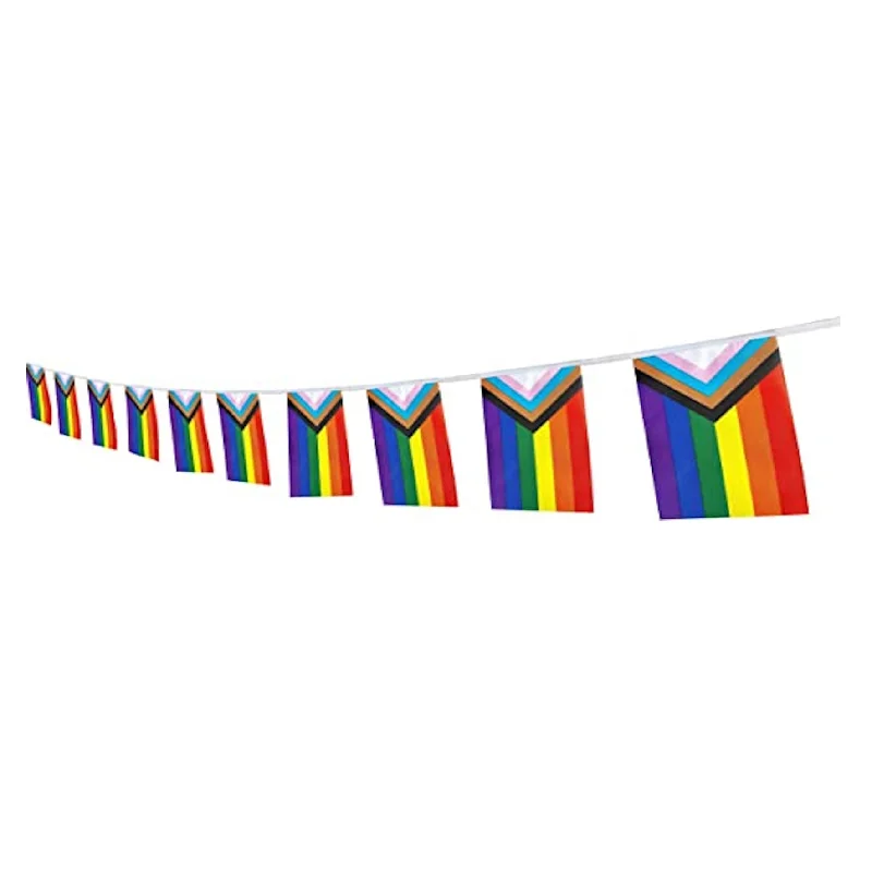 LGBTQ Pride Flag Bunting - Progress Pride Daniel Quasar