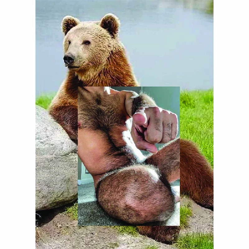 Naro Pinosa Pointing Bear Postcard