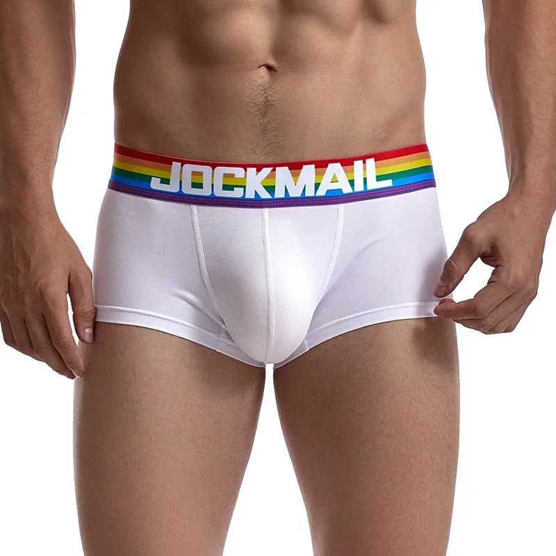Best graphic tees for LGBTQ+ visibility and support--Rainbow Stripe Boxer Shorts