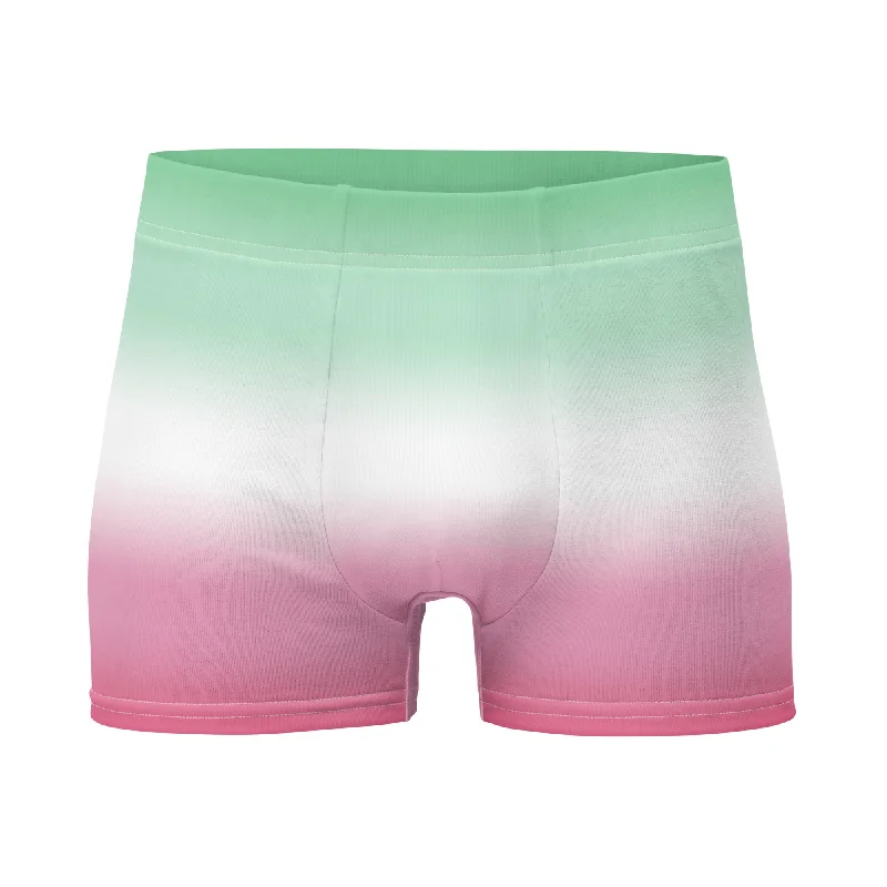 Abrosexual Pride Mens Boxer Briefs Underwear