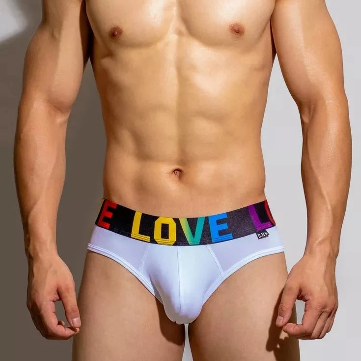 DM Rainbow Pride Love Briefs