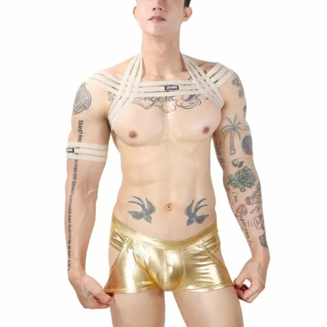 Men's Waterfall Harness & Metallic Jock Briefs
