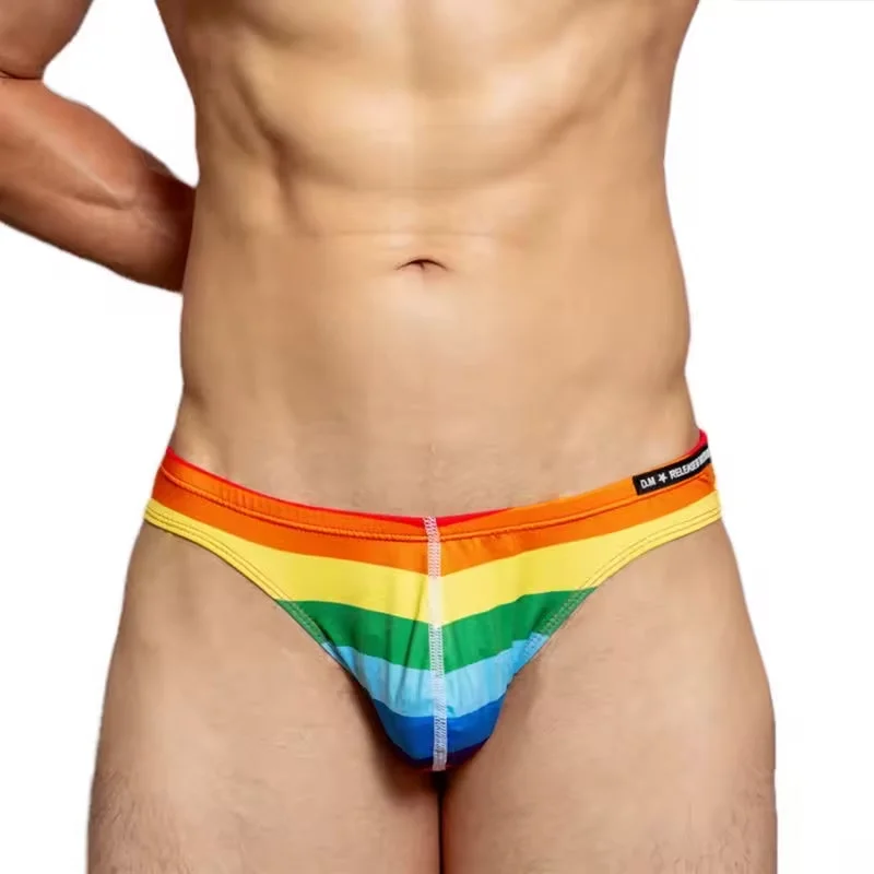 DESMIIT LGBT Rainbow Swim Briefs