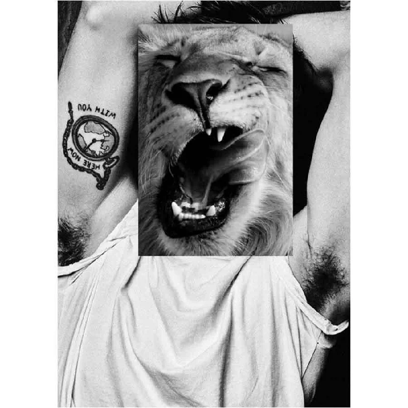 Naro Pinosa Lion Yawn Armpit Postcard