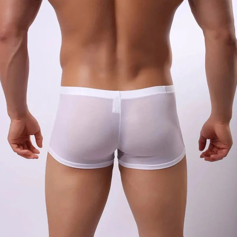 Super Stretchy Ice Silk Boxer Brief