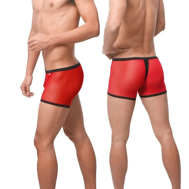 Men's Mesh Thong Boxer Briefs