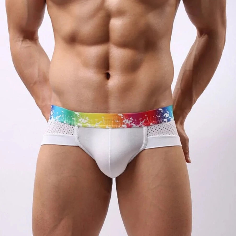 Gay Men's Rainbow Band Mesh Briefs