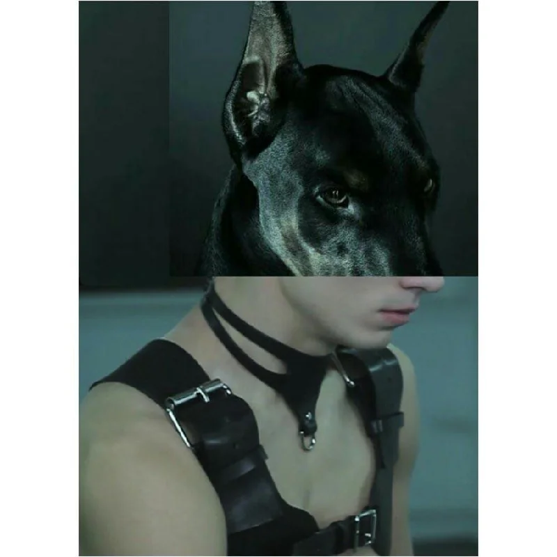 Naro Pinosa Doberman Leather Harness Postcard