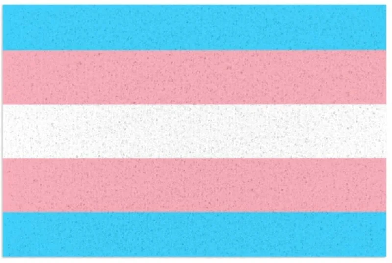 Indoor Outdoor Entrance Pride Mat, Doormat Trans Transgender Pride Door Mat Indoors 16X24 Inch Indoor Outdoor Entrance Pride Mat, Doormat Trans Transgender Pride Door Mat Indoors 16X24 Inch