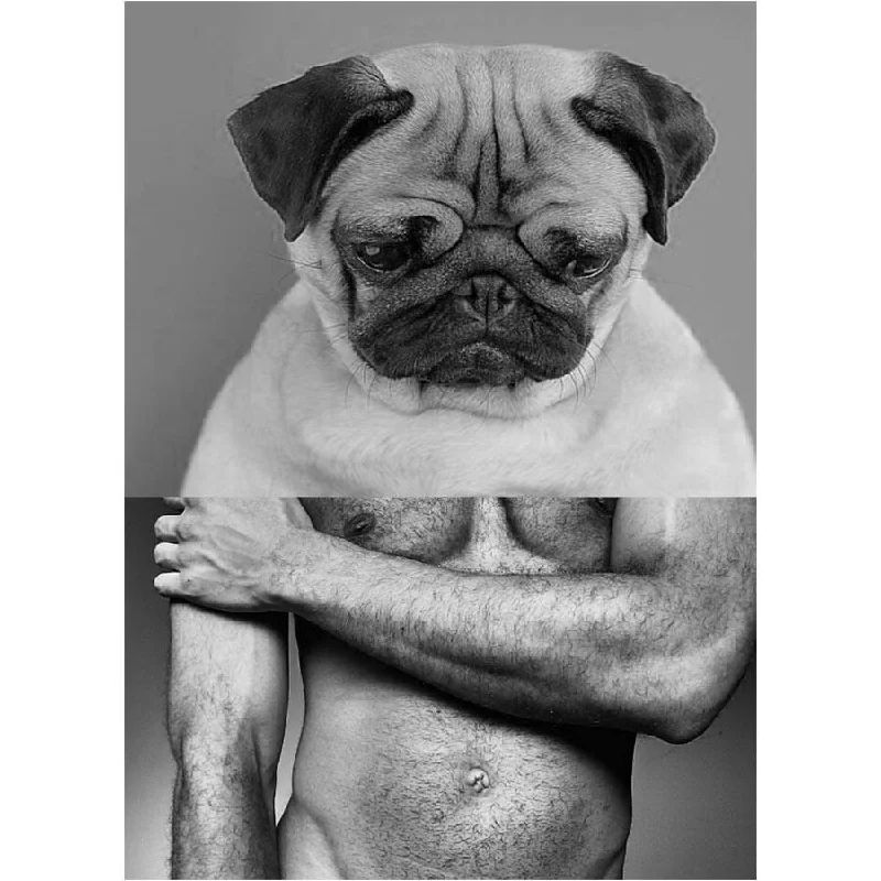 Naro Pinosa Pug Man Postcard