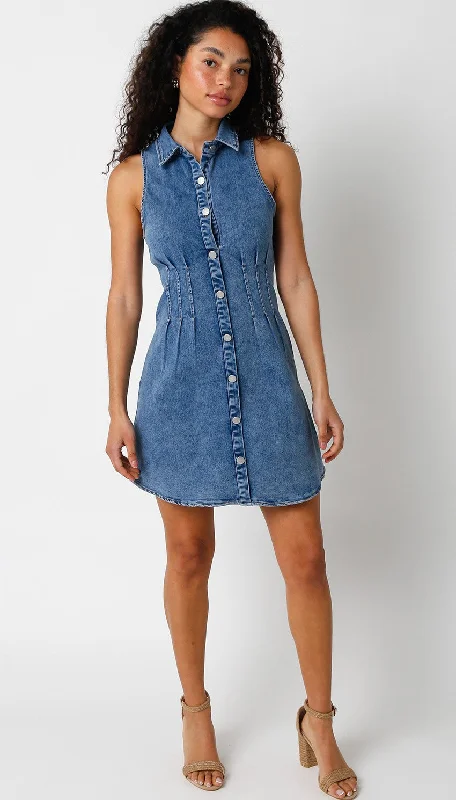 Mable Cinch Waist Denim Dress